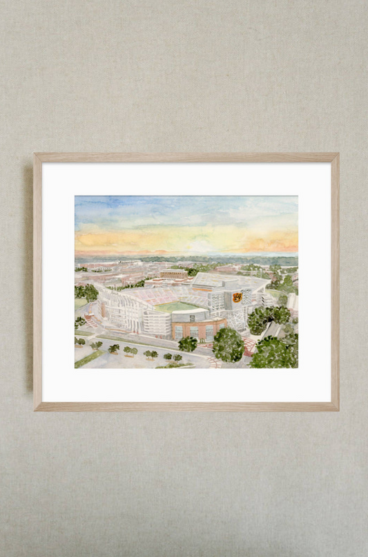 Jordan-Hare Stadium Print